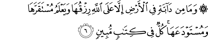 وَمَا مِنۡ دَآ بَّةٍ فِى الۡاَرۡضِ اِلَّا عَلَى اللّٰهِ رِزۡقُهَا وَ يَعۡلَمُ مُسۡتَقَرَّهَا وَمُسۡتَوۡدَعَهَا​ؕ كُلٌّ فِىۡ كِتٰبٍ مُّبِيۡنٍ‏