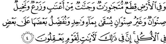 وَ فِى الۡاَرۡضِ قِطَعٌ مُّتَجٰوِرٰتٌ وَّجَنّٰتٌ مِّنۡ اَعۡنَابٍ وَّزَرۡعٌ وَّنَخِيۡلٌ صِنۡوَانٌ وَّغَيۡرُ صِنۡوَانٍ يُّسۡقٰى بِمَآءٍ وَّاحِدٍ وَنُفَضِّلُ بَعۡضَهَا عَلٰى بَعۡضٍ فِى الۡاُكُلِ​ؕ اِنَّ فِىۡ ذٰ لِكَ لَاٰيٰتٍ لِّـقَوۡمٍ يَّعۡقِلُوۡنَ‏ ﻿﻿