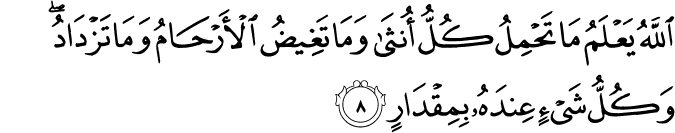 اَللّٰهُ يَعۡلَمُ مَا تَحۡمِلُ كُلُّ اُنۡثٰى وَمَا تَغِيۡضُ الۡاَرۡحَامُ وَمَا تَزۡدَادُ ​ؕ وَكُلُّ شَىۡءٍ عِنۡدَهٗ بِمِقۡدَارٍ‏