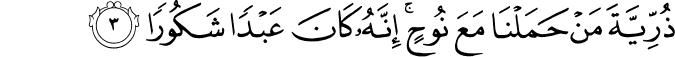 ذُرِّيَّةَ مَنۡ حَمَلۡنَا مَعَ نُوۡحٍ​ؕ اِنَّهٗ كَانَ عَبۡدًا شَكُوۡرًا‏