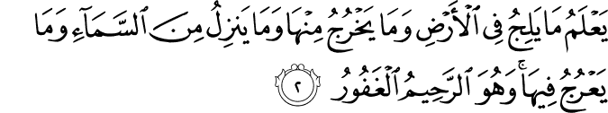 يَعۡلَمُ مَا يَلِجُ فِى الۡاَرۡضِ وَمَا يَخۡرُجُ مِنۡهَا وَمَا يَنۡزِلُ مِنَ السَّمَآءِ وَمَا يَعۡرُجُ فِيۡهَا ؕ وَهُوَ الرَّحِيۡمُ الۡغَفُوۡرُ‏