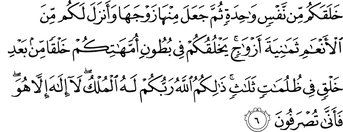 خَلَقَكُمۡ مِّنۡ نَّفۡسٍ وَّاحِدَةٍ ثُمَّ جَعَلَ مِنۡهَا زَوۡجَهَا وَاَنۡزَلَ لَـكُمۡ مِّنَ الۡاَنۡعَامِ ثَمٰنِيَةَ اَزۡوَاجٍ​ ؕ يَخۡلُقُكُمۡ فِىۡ بُطُوۡنِ اُمَّهٰتِكُمۡ خَلۡقًا مِّنۡۢ بَعۡدِ خَلۡقٍ فِىۡ ظُلُمٰتٍ ثَلٰثٍ​ ؕ ذٰ لِكُمُ اللّٰهُ رَبُّكُمۡ لَهُ الۡمُلۡكُ​ ؕ لَاۤ اِلٰهَ اِلَّا هُوَ​ ۚ فَاَ نّٰى تُصۡرَفُوۡنَ‏