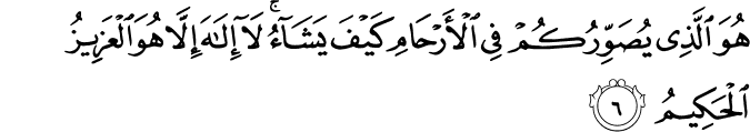 هُوَ الَّذِىۡ يُصَوِّرُكُمۡ فِى الۡاَرۡحَامِ كَيۡفَ يَشَآءُ ​ؕ لَاۤ اِلٰهَ اِلَّا هُوَ الۡعَزِيۡزُ الۡحَكِيۡمُ‏