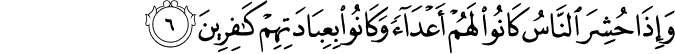 وَاِذَا حُشِرَ النَّاسُ كَانُوۡا لَهُمۡ اَعۡدَآءً وَّ كَانُوۡا بِعِبَادَتِهِمۡ كٰفِرِيۡنَ‏