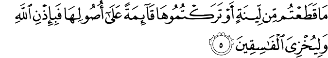 مَا قَطَعۡتُمۡ مِّنۡ لِّيۡنَةٍ اَوۡ تَرَكۡتُمُوۡهَا قَآٮِٕمَةً عَلٰٓى اُصُوۡلِهَا فَبِاِذۡنِ اللّٰهِ وَلِيُخۡزِىَ الۡفٰسِقِيۡنَ‏