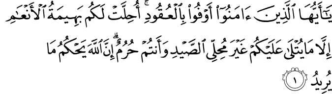 يٰۤـاَيُّهَا الَّذِيۡنَ اٰمَنُوۡۤا اَوۡفُوۡا بِالۡعُقُوۡدِ​ ؕ اُحِلَّتۡ لَـكُمۡ بَهِيۡمَةُ الۡاَنۡعَامِ اِلَّا مَا يُتۡلٰى عَلَيۡكُمۡ غَيۡرَ مُحِلِّى الصَّيۡدِ وَاَنۡـتُمۡ حُرُمٌ​ ؕ اِنَّ اللّٰهَ يَحۡكُمُ مَا يُرِيۡدُ‏