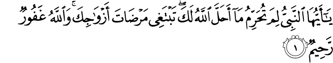 يٰۤاَيُّهَا النَّبِىُّ لِمَ تُحَرِّمُ مَاۤ اَحَلَّ اللّٰهُ لَـكَ​ۚ تَبۡتَغِىۡ مَرۡضَاتَ اَزۡوَاجِكَ​ؕ وَاللّٰهُ غَفُوۡرٌ رَّحِيۡمٌ‏