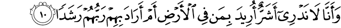 وَّاَنَّا لَا نَدۡرِىۡۤ اَشَرٌّ اُرِيۡدَ بِمَنۡ فِى الۡاَرۡضِ اَمۡ اَرَادَ بِهِمۡ رَبُّهُمۡ رَشَدًا ۙ‏