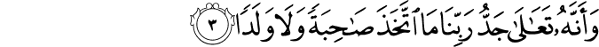 وَّاَنَّهٗ تَعٰلٰى جَدُّ رَبِّنَا مَا اتَّخَذَ صَاحِبَةً وَّلَا وَلَدًا ۙ‏ ﻿﻿