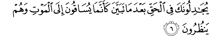 يُجَادِلُوۡنَكَ فِى الۡحَـقِّ بَعۡدَ مَا تَبَيَّنَ كَاَنَّمَا يُسَاقُوۡنَ اِلَى الۡمَوۡتِ وَهُمۡ يَنۡظُرُوۡنَؕ‏